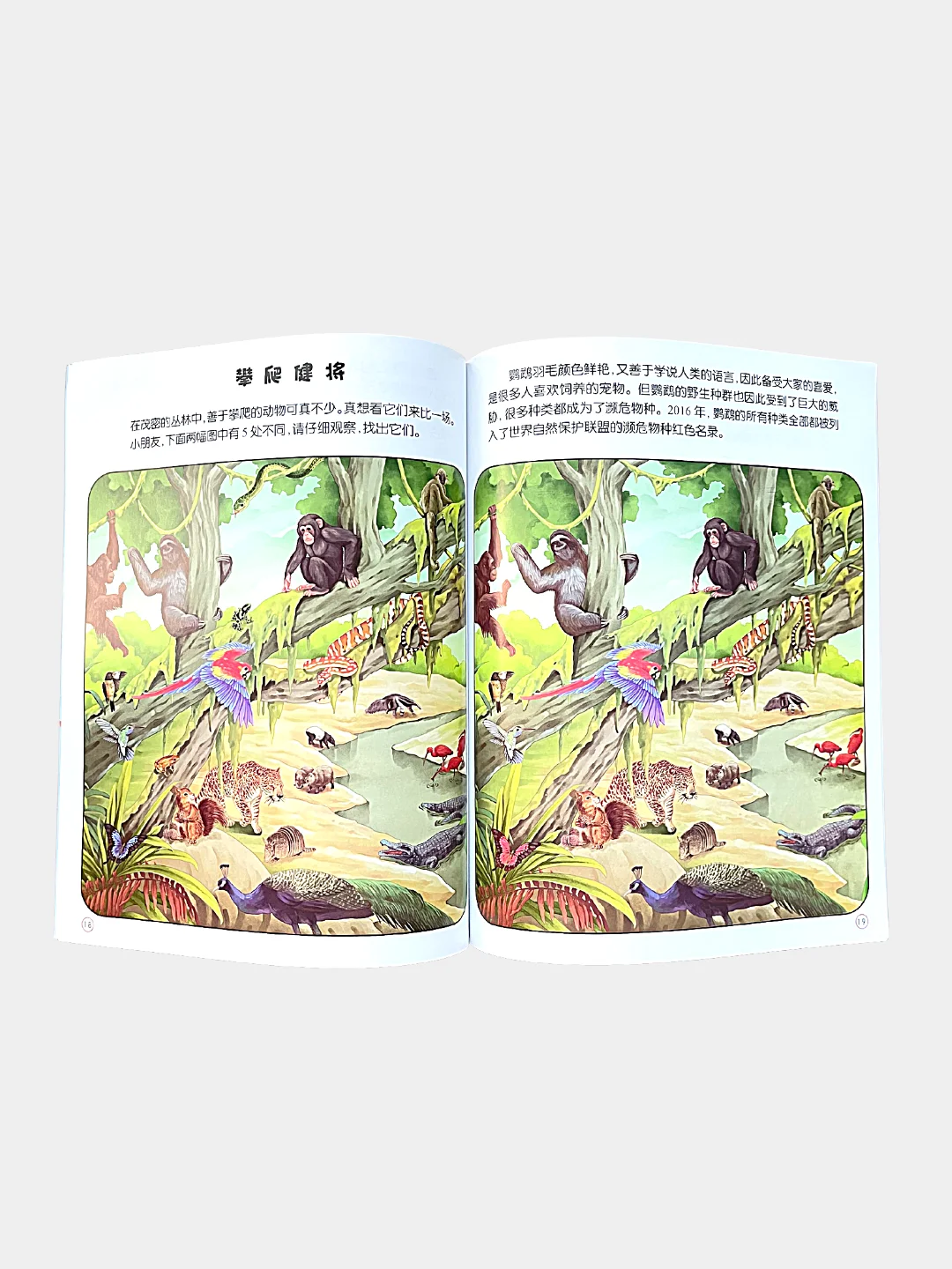 Книга "Найди отличия" на китайском языке