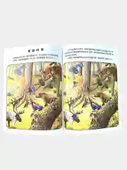 Книга "Найди отличия" на китайском языке
