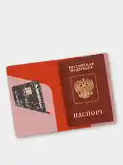 Обложка для паспорта экокожа (4 вида) с карманами для карты и СНИЛС