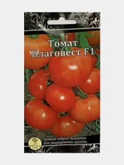 Томат "Благовест", семена