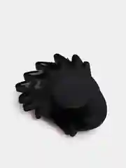 Фуксия джиббитсы для сабо
