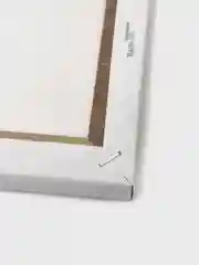 Картина по номерам на холсте 20х16 "Сова"
