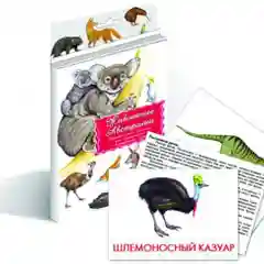 Дидактические карточки "Животные Австралии", "Животные Азии"