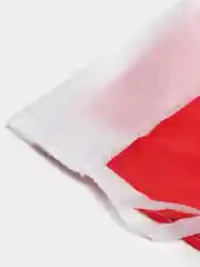Флаг России, 60 х 90 см, полиэстер