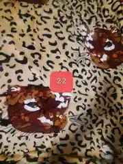 Плед-покрывало из бамбукового флиса 200/180