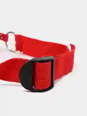 Красный кляп в рот
