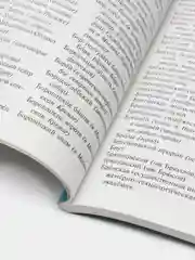 "Словарик школьника. С прописной или строчной буквы". А. Грузберг, Л. Грузберг