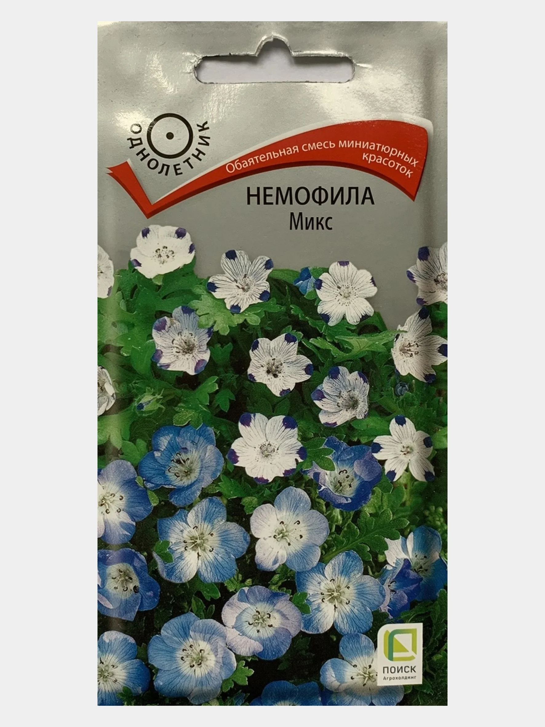 Семена Немофилы Фото