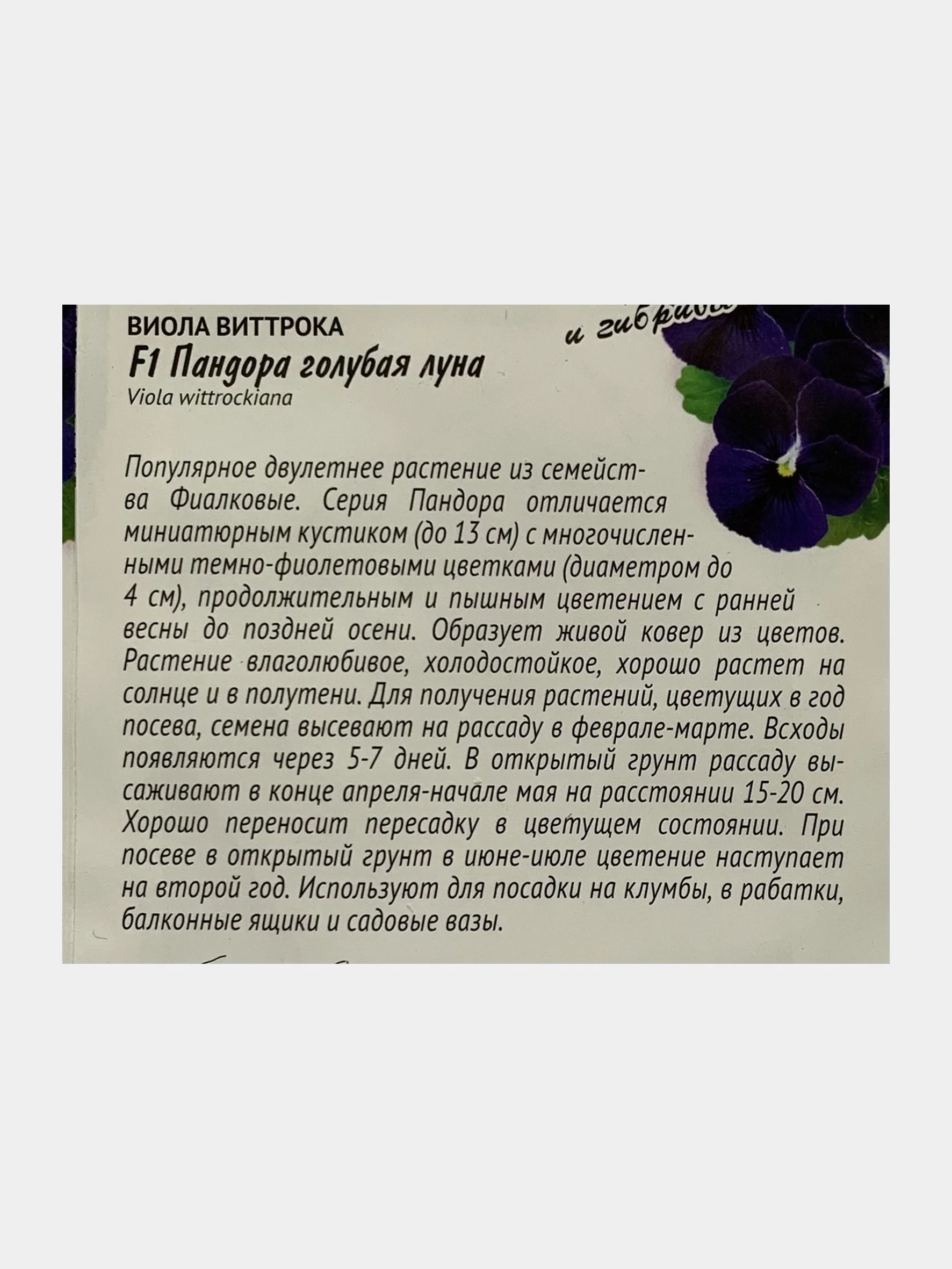 Семена цветов Виола виттрока "Пандора голубая луна"