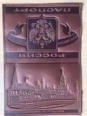 Багровый обложка для паспорта