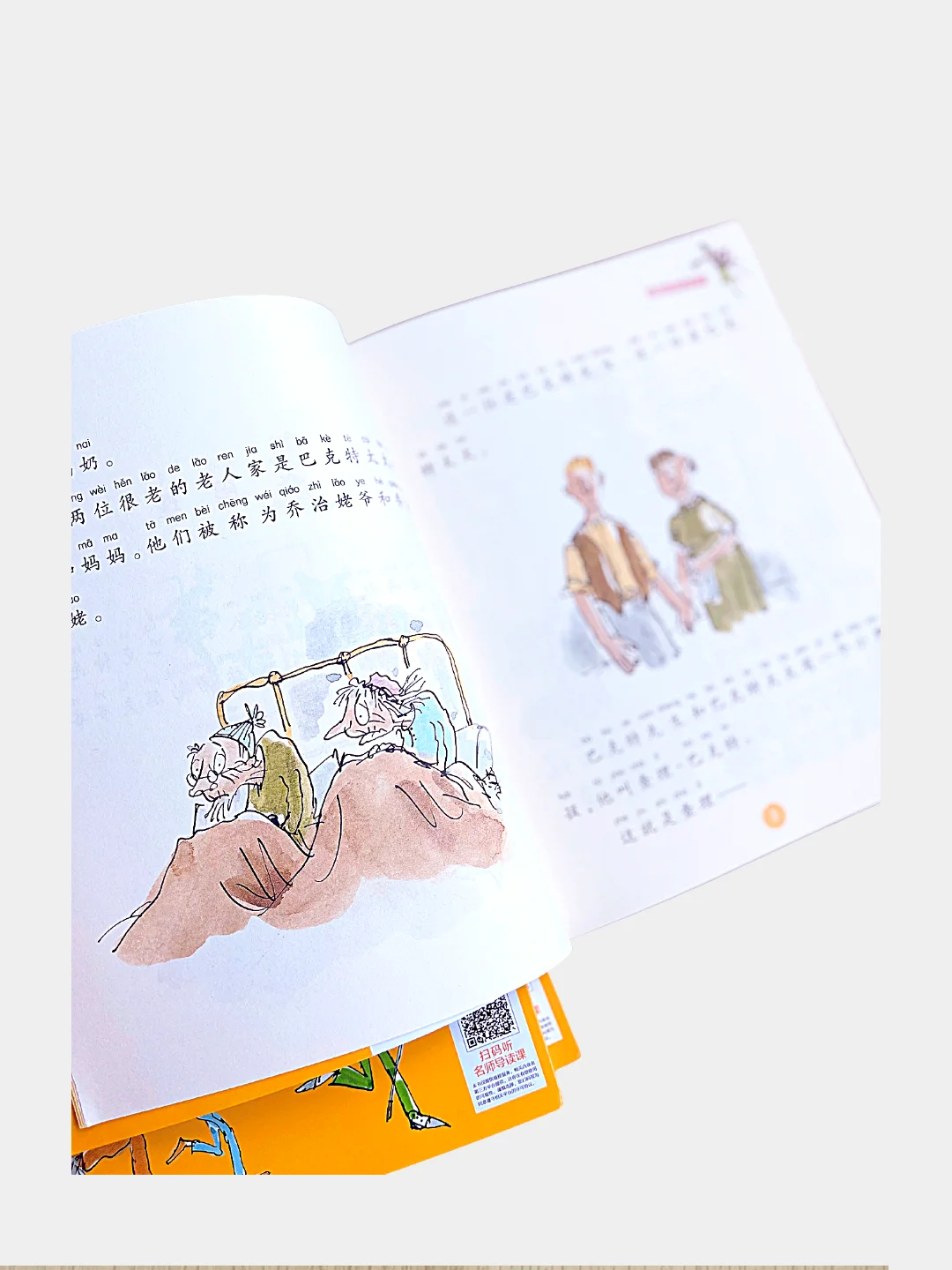 Книга Чарли и шоколадная фабрика на китайском языке