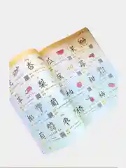 Книга "1000 первых иероглифов" на китайском языке + Видео с написанием каждого иероглифа