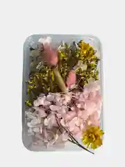 Манго сухоцветы в коробе, 17 х 12 х 3 см