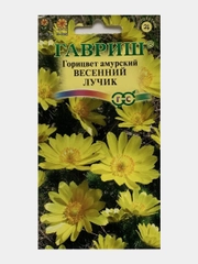 Горицвет амурский Весенний лучик (семена,цветы)
