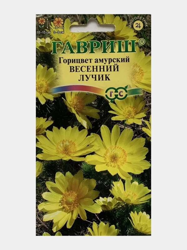 Горицвет амурский Весенний лучик (семена,цветы)