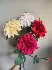 Красный искусственные цветы Георгины 2 бутона