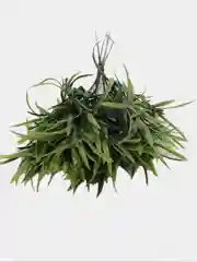 Искусственные цветы. Искусственная зелень.