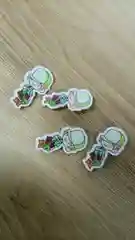 Фуксия значок в ассортименте