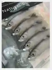 Виброхвост SPRO