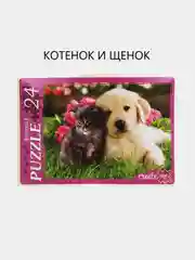 Макси-пазлы  24 элемента
