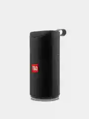 Портативная колонка T&G TG-113