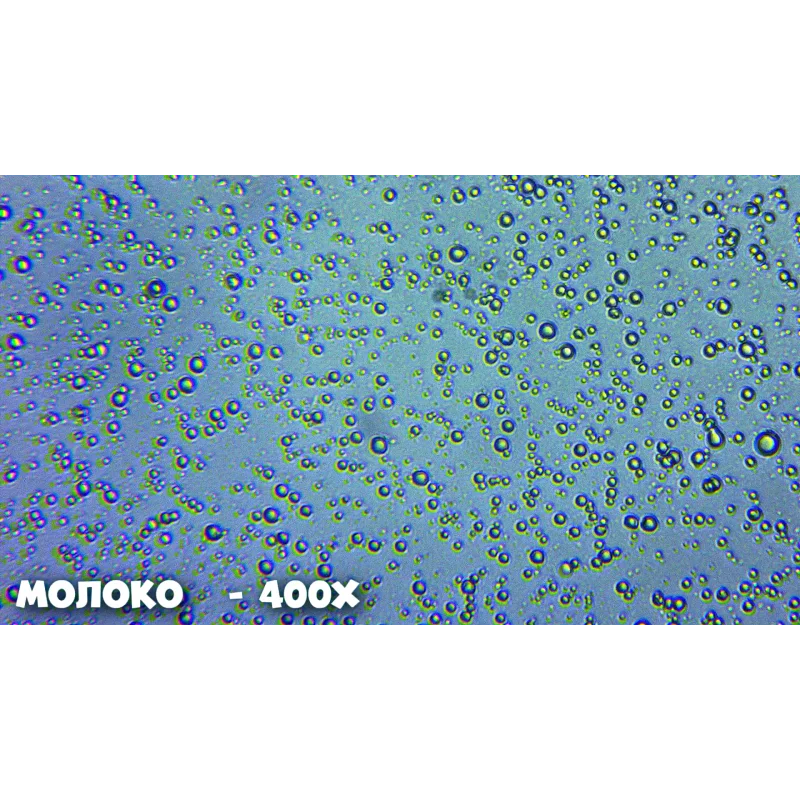 Микроскоп школьный Эврика 40х-400х в кейсе (аметист)