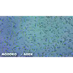 Микроскоп школьный Эврика 40х-400х в кейсе (аметист)