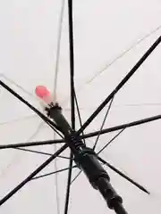 Красный прозрачный детский зонт