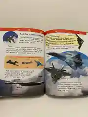 Самолёты и вертолеты/ Самолётлар хэм вертолётлар на татарском языке