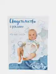 Папка для свидетельства о рождении Скетч, для мальчика, под новый формат, А4, 32 х 22.3 см