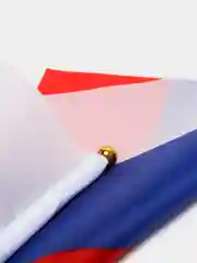 Флаг России
