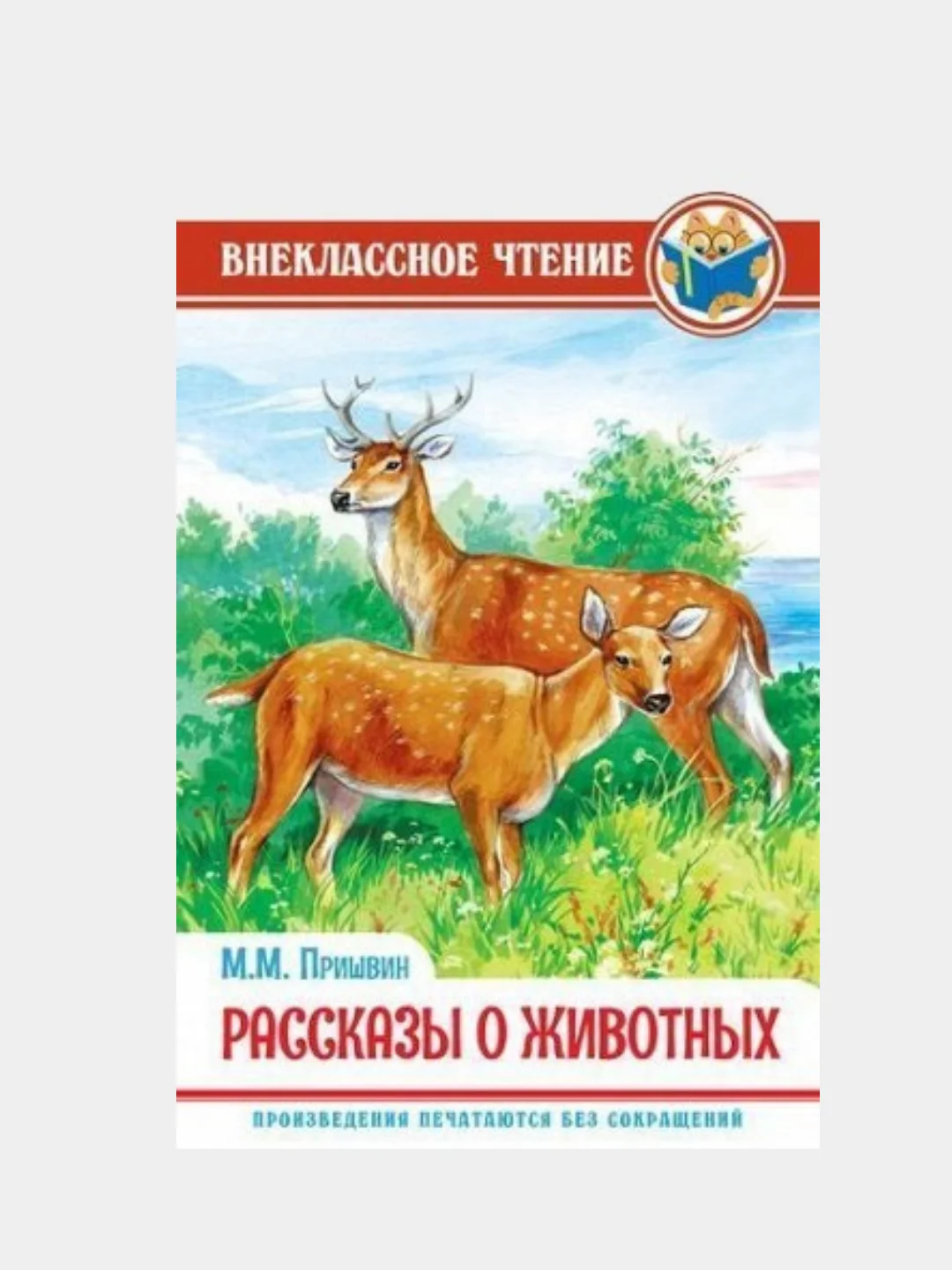 Серый внеклассное чтение для детей, сказки для детей , школьные рассказы