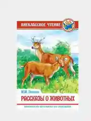 Серый внеклассное чтение для детей, сказки для детей , школьные рассказы
