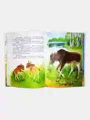 Серый внеклассное чтение для детей, сказки для детей , школьные рассказы