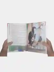 Оливковый внеклассное чтение для детей, сказки для детей , школьные рассказы