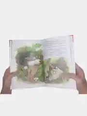 Оливковый внеклассное чтение для детей, сказки для детей , школьные рассказы