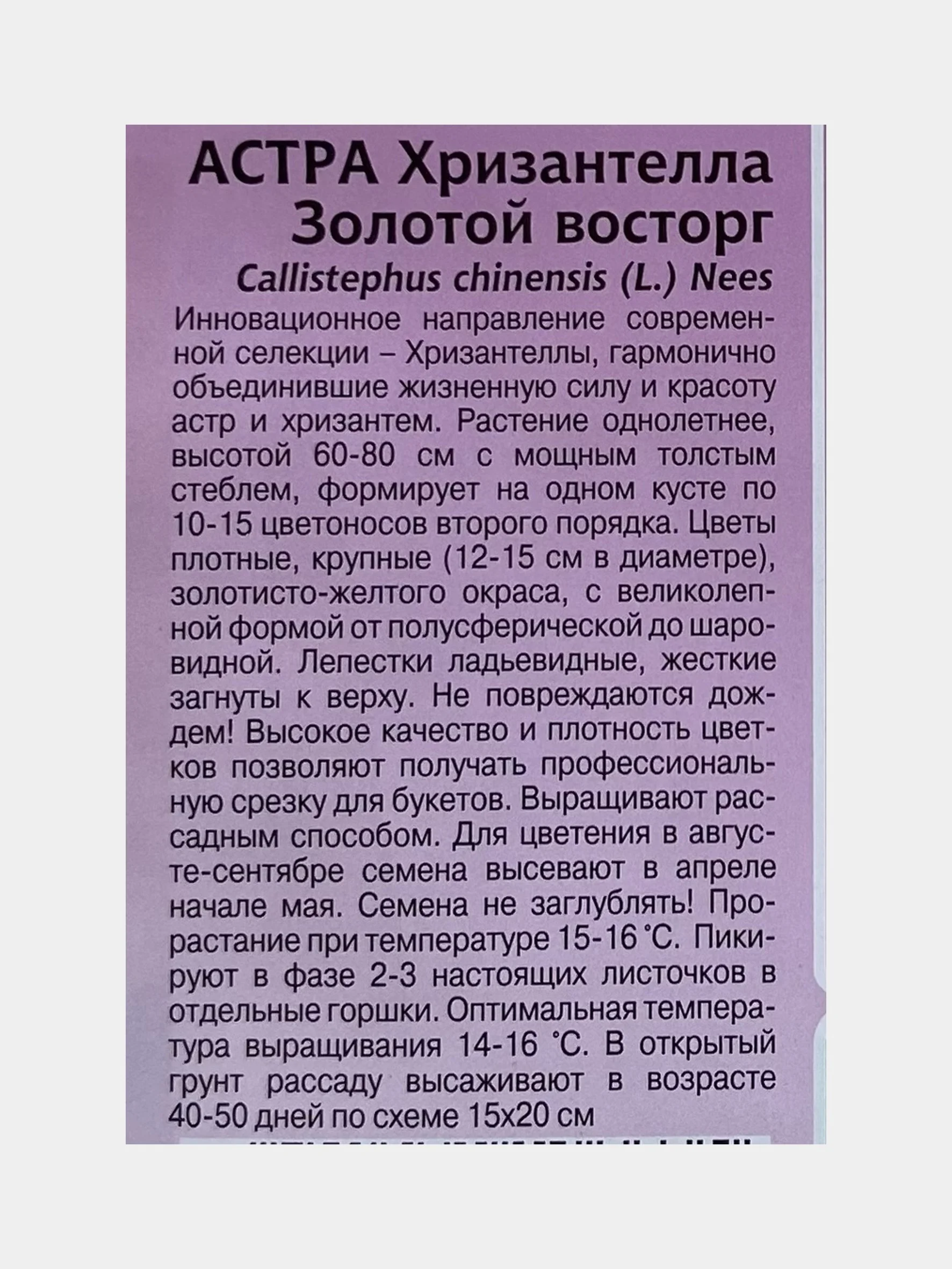 Астра Хризантелла "Золотой восторг", семена цветов