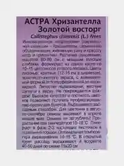Астра Хризантелла "Золотой восторг", семена цветов
