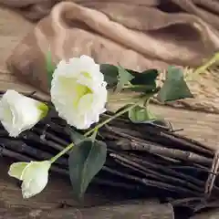 Белый искусственные цветы Эустома, растения, букет, зелень, декор, в горшке, декоративная, 1 шт