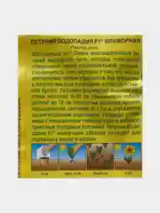 Петуния Водопадия мраморная (семена, цветы)