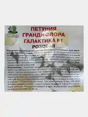 Петуния "Грандифлора галактика" розовая (семена, цветы)