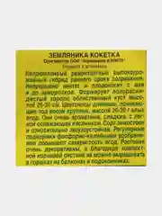 Семена Земляника "Кокетка"