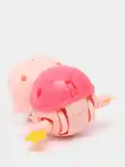 Игрушка заводная Черепашка, цвета МИКС