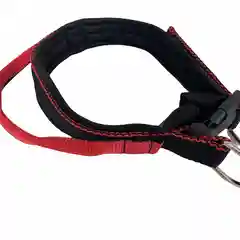 Ошейник с ручкой Fashion, капрон 25мм STRONG DOG