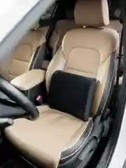 Подушка под спину Backlux, с эффектом памяти, для авто
