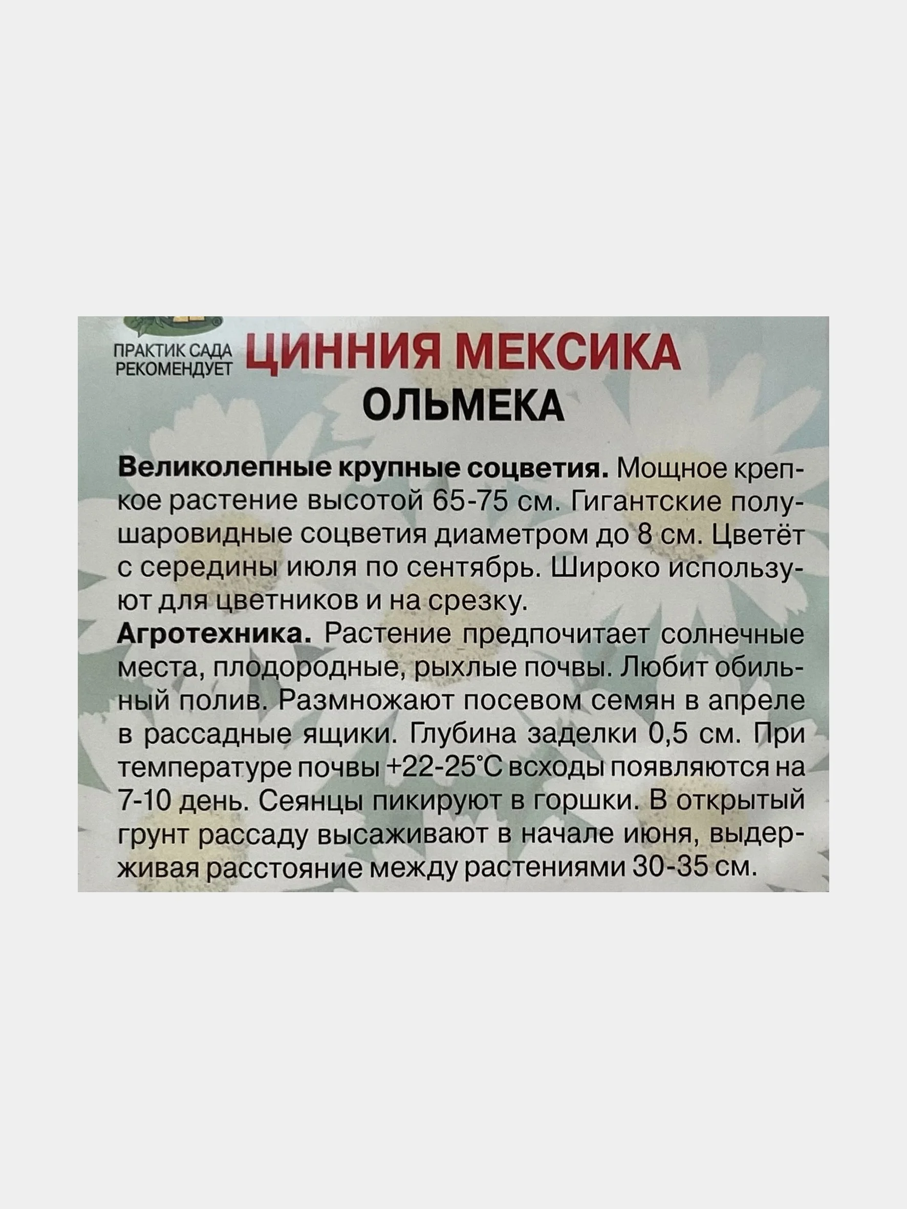 Цинния "Мексика Ольмека", семена цветов