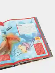 Большая детская 3D-энциклопедия обо всём на свете, Кошевар Д.В., Ликсо В.В., Папуниди Е.А.