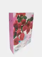 Вишнёвый фотоальбом 200 фото