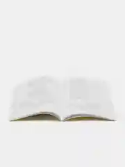 Главные праздники страны: Стихи. Сценарии