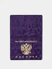 Индиго обложка на паспорт "Российская Федерация"